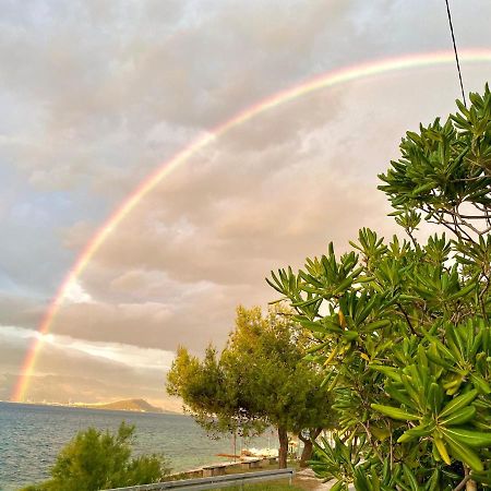 Villa Amica Trogir Luaran gambar